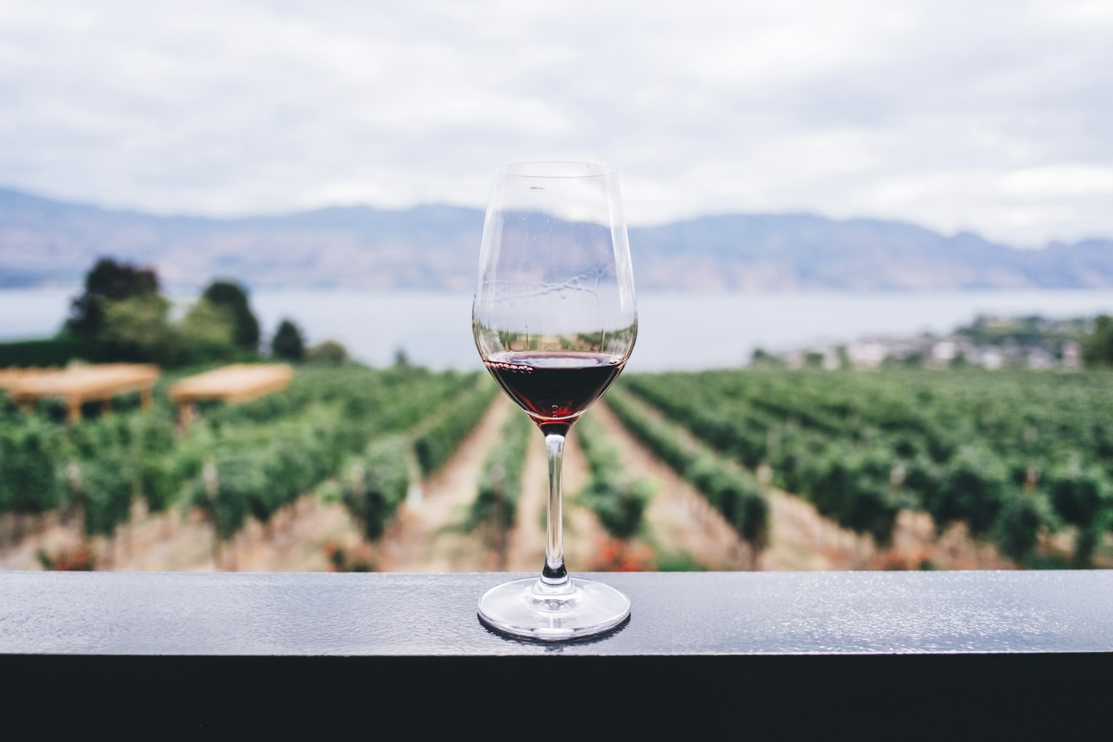 Private Wine and Distillery Tour Chauffeur Service SoCal.